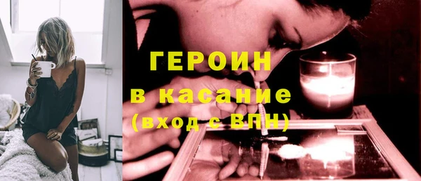 гидра Инта