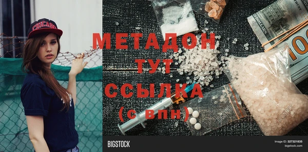 гидра Инта