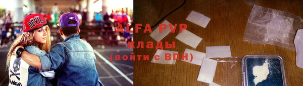 ПСИЛОЦИБИНОВЫЕ ГРИБЫ Иннополис