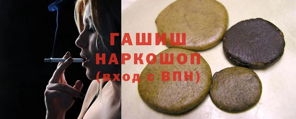 гидра Инта