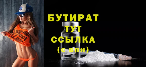 гидра Инта