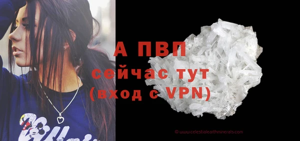ПСИЛОЦИБИНОВЫЕ ГРИБЫ Иннополис