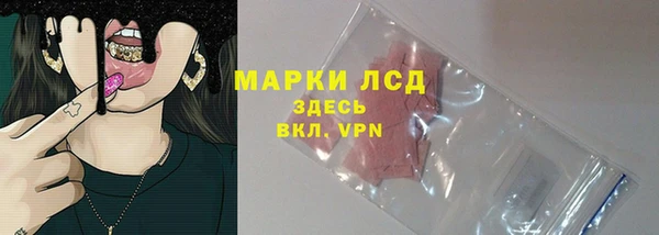 гидра Инта