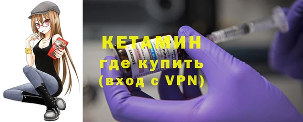 гидра Инта