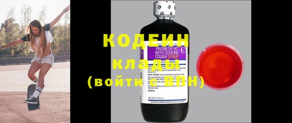 гидра Инта