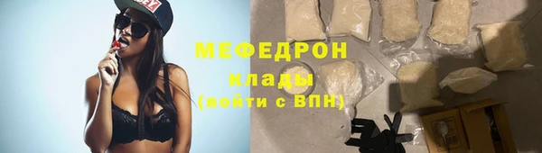 гидра Инта