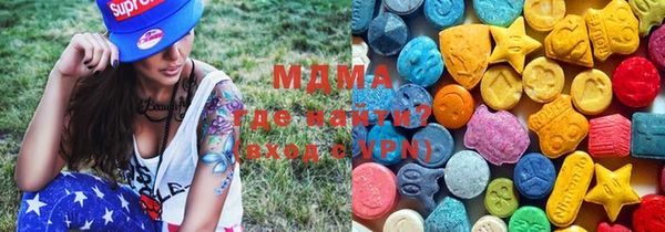 гидра Инта