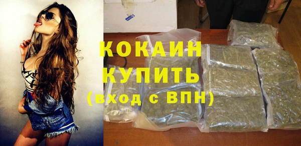 винт Инсар