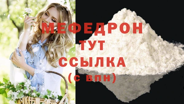 гидра Инта
