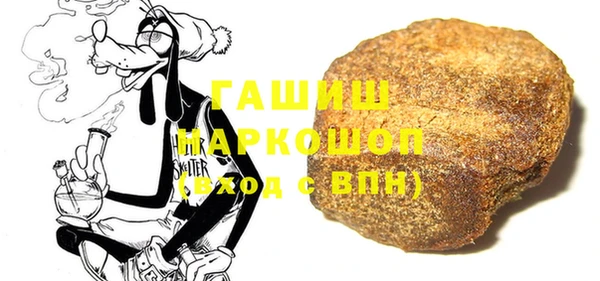 гидра Инта