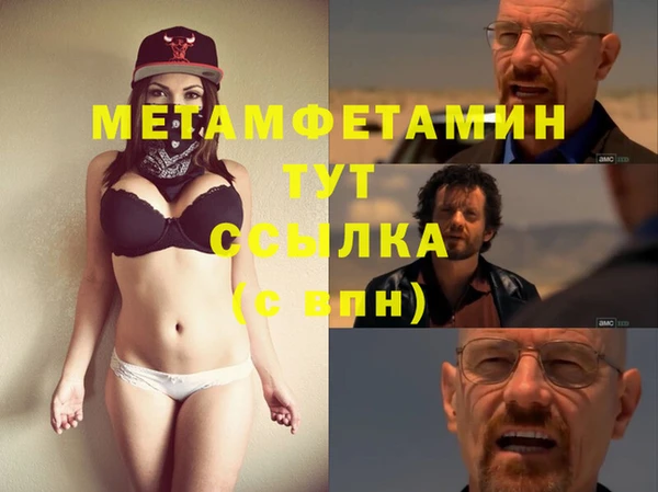 гидра Инта