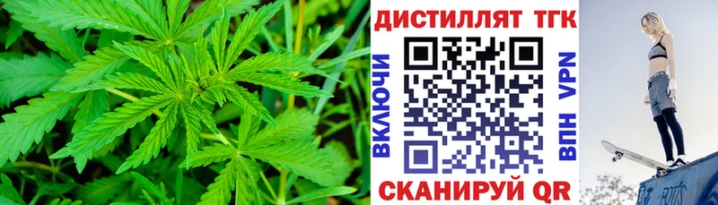 Купить закладки  Сусуман  ТГК THC oil 