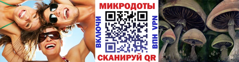 Купить  Сусуман  Псилоцибиновые грибы GOLDEN TEACHER 