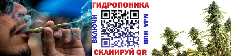 Бошки Шишки VHQ Купить где Сусуман